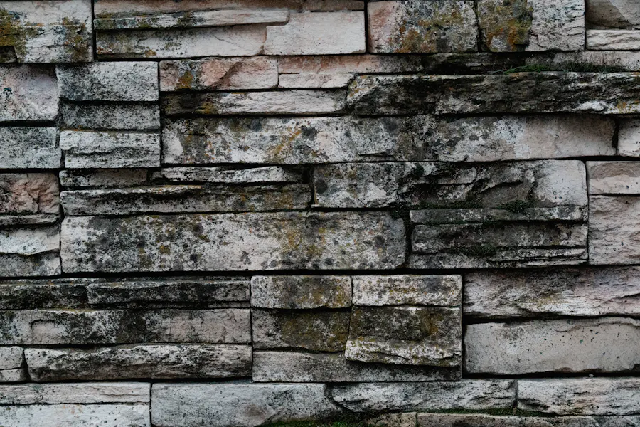 Oporné múry a ploty